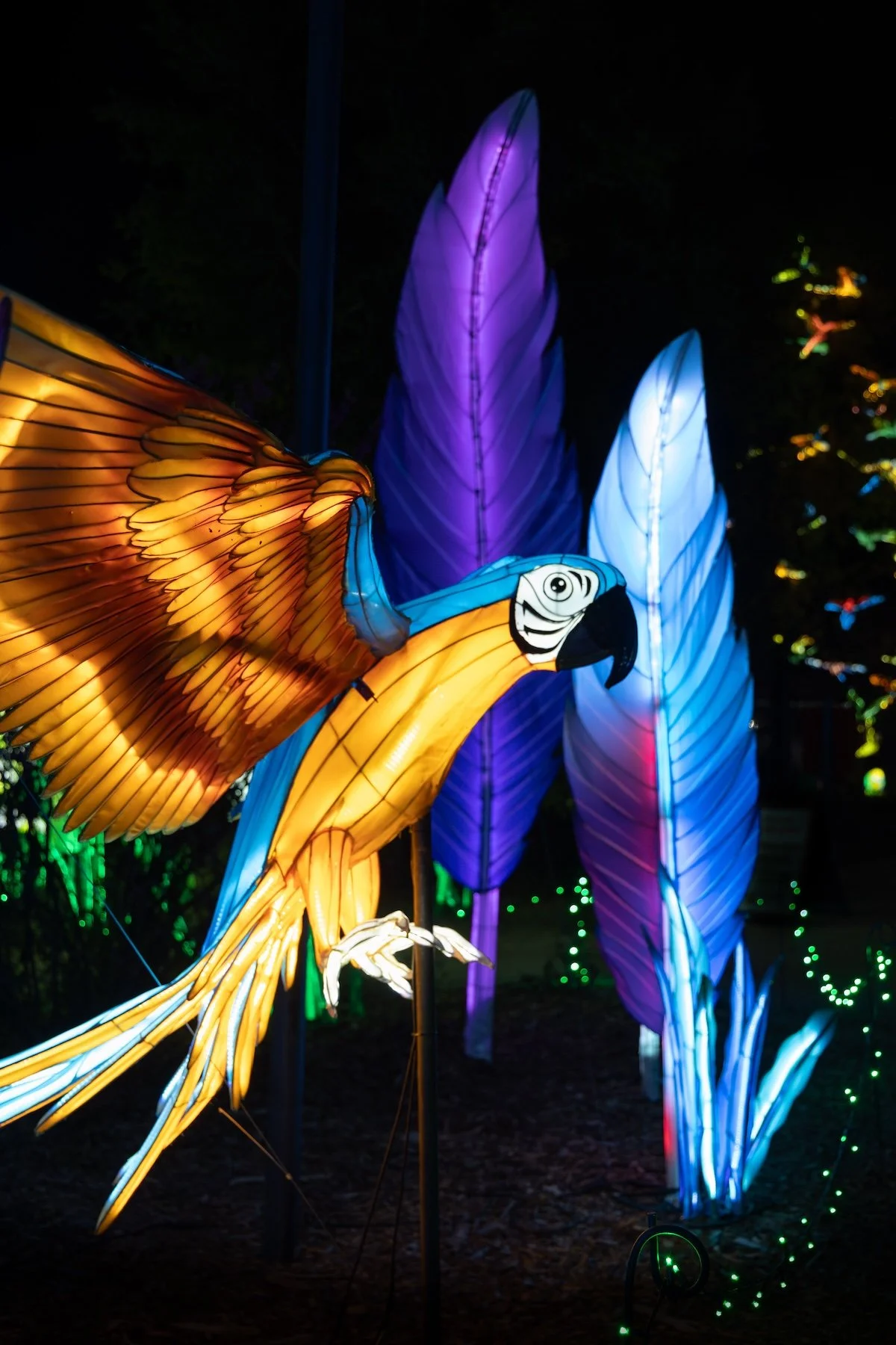 Glowing Wild Lantern Festival